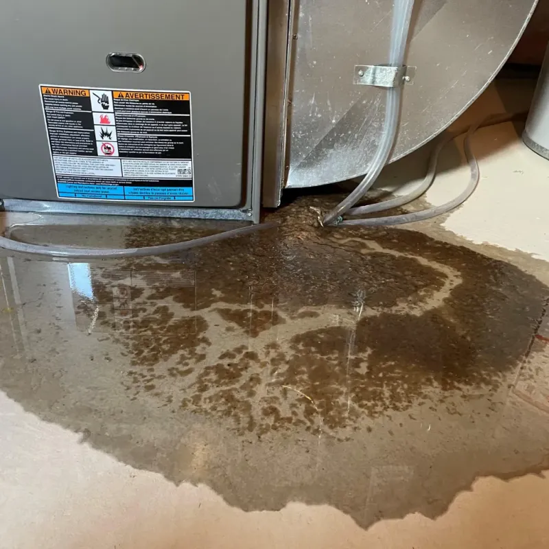 Appliance Leak Cleanup in Georgetown County, SC