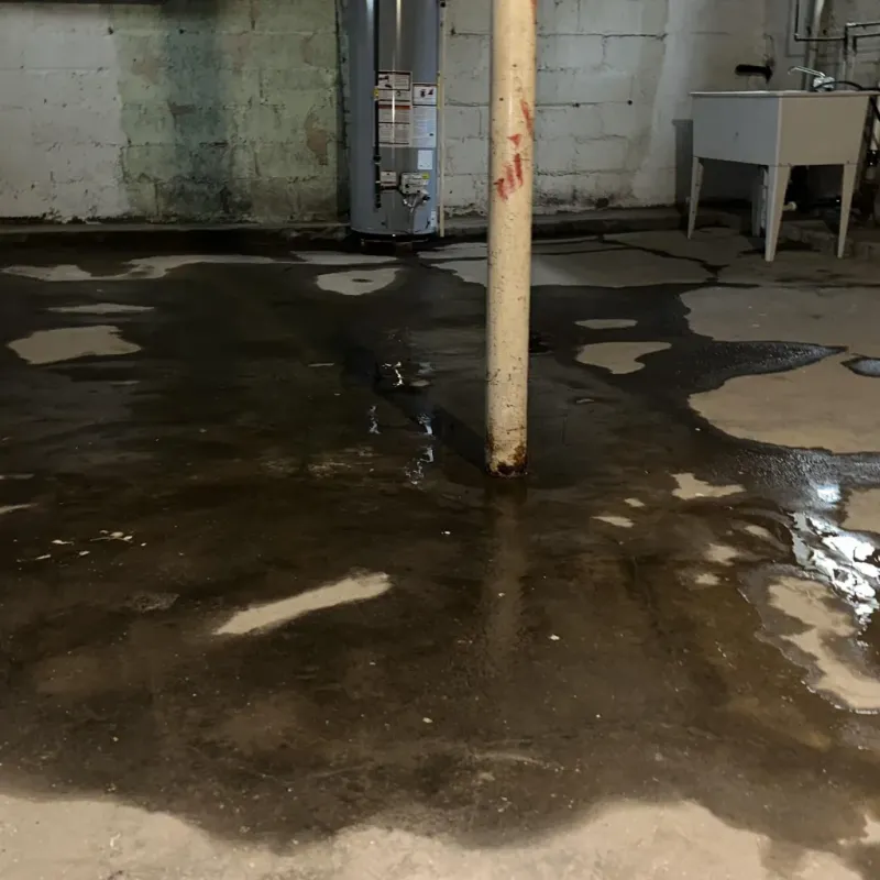 Emergency Water Extraction And Removal in Georgetown County, SC